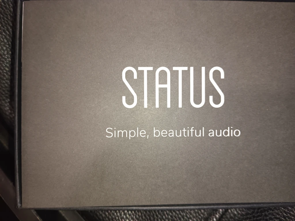 Status Between Pro Earbuds