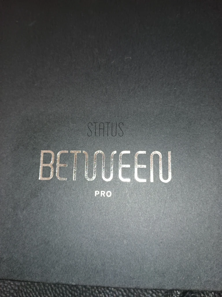 Status Between Pro Earbuds - photo 2