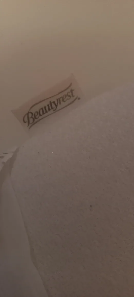 Beautyrest Pillow thumbnail