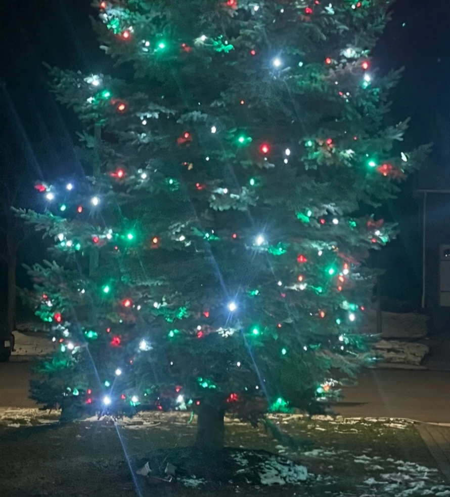 Big Star high end professional grade Christmas lights - photo 3