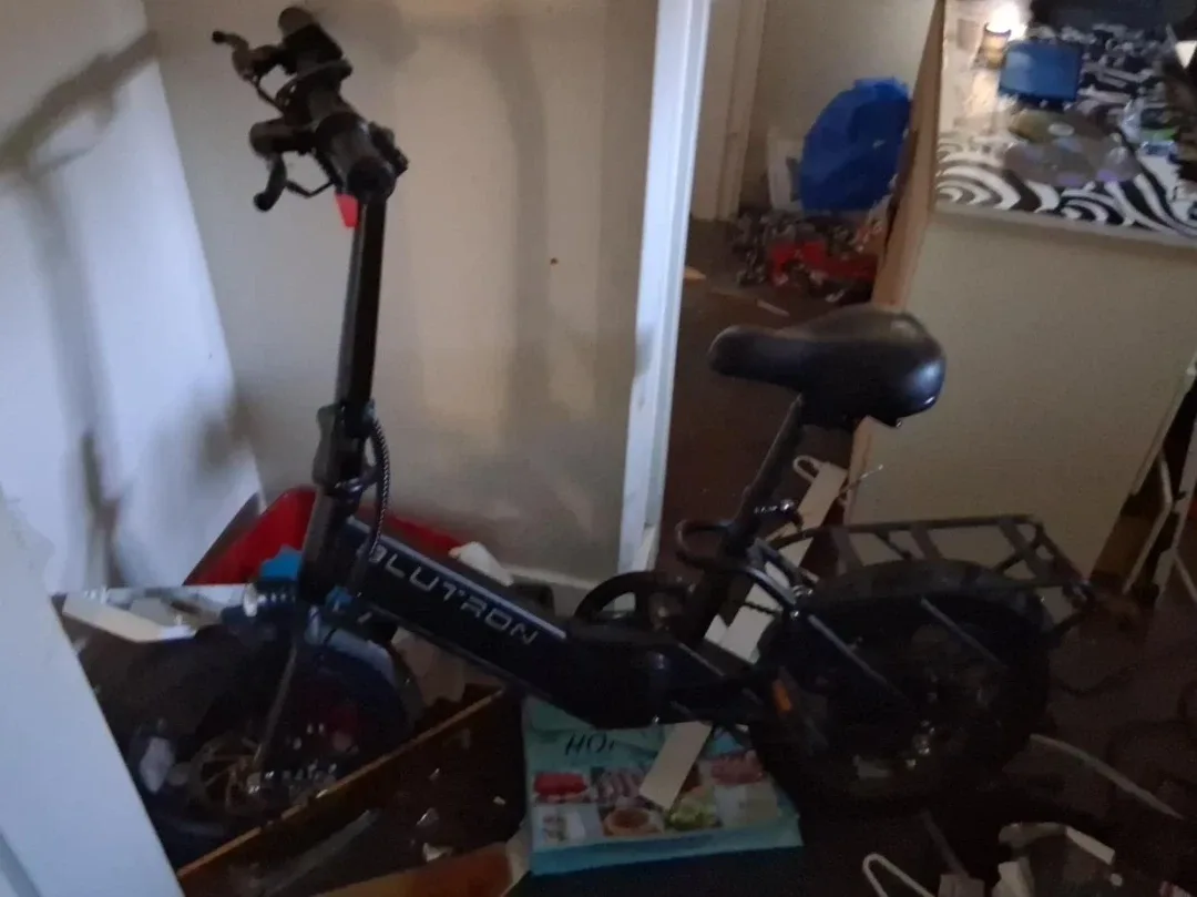 Blutron Electric Bike