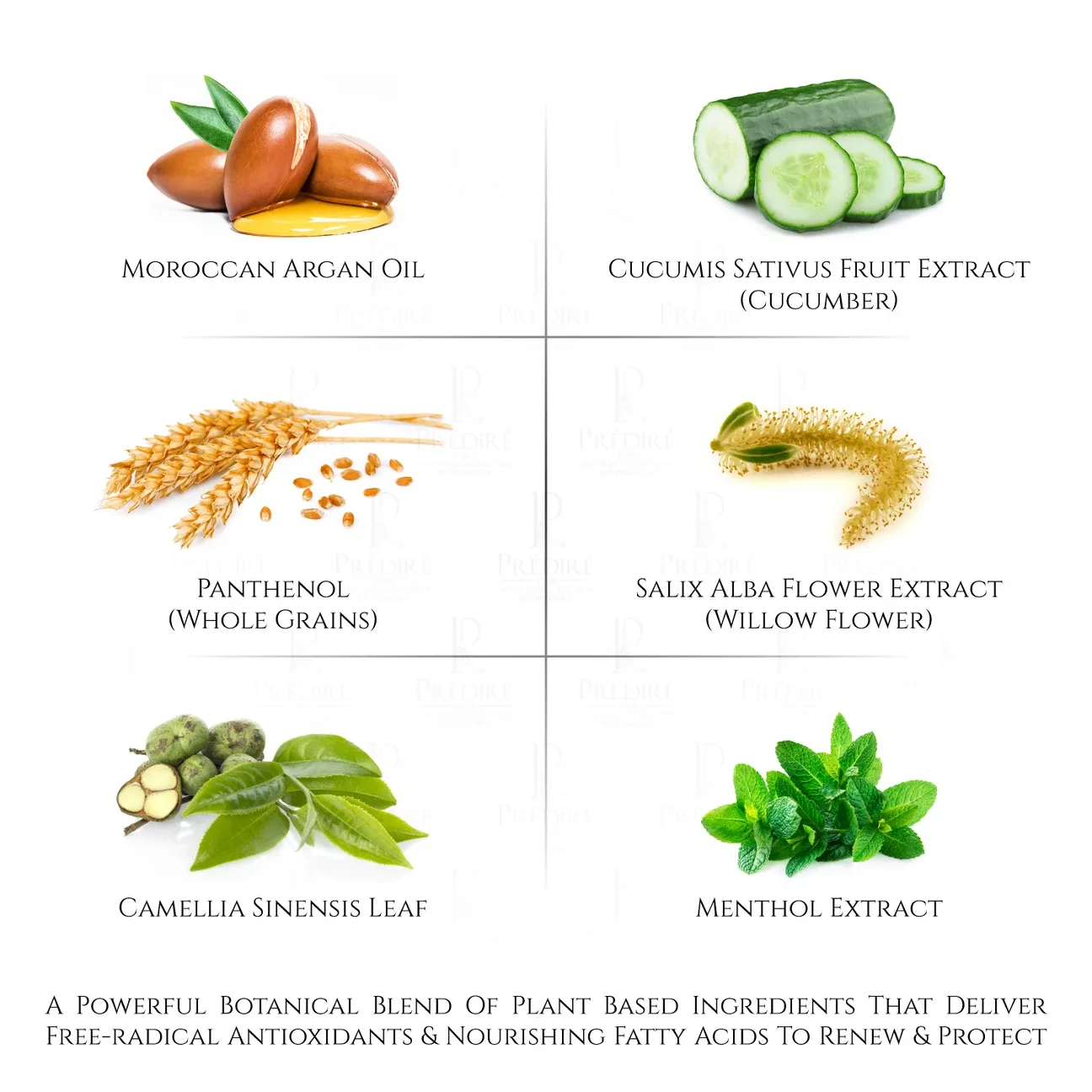 Prédire Lava Foam 24 Hours Foam Cleanser image indicator(9)