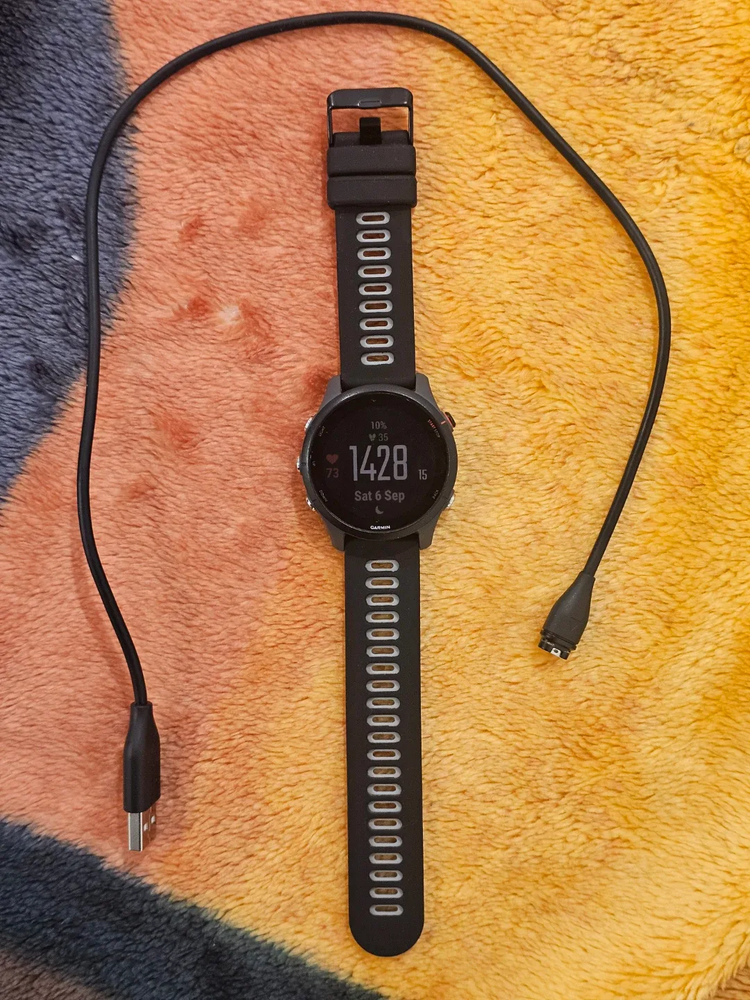 Garmin Forerunner 255 GPS Watch