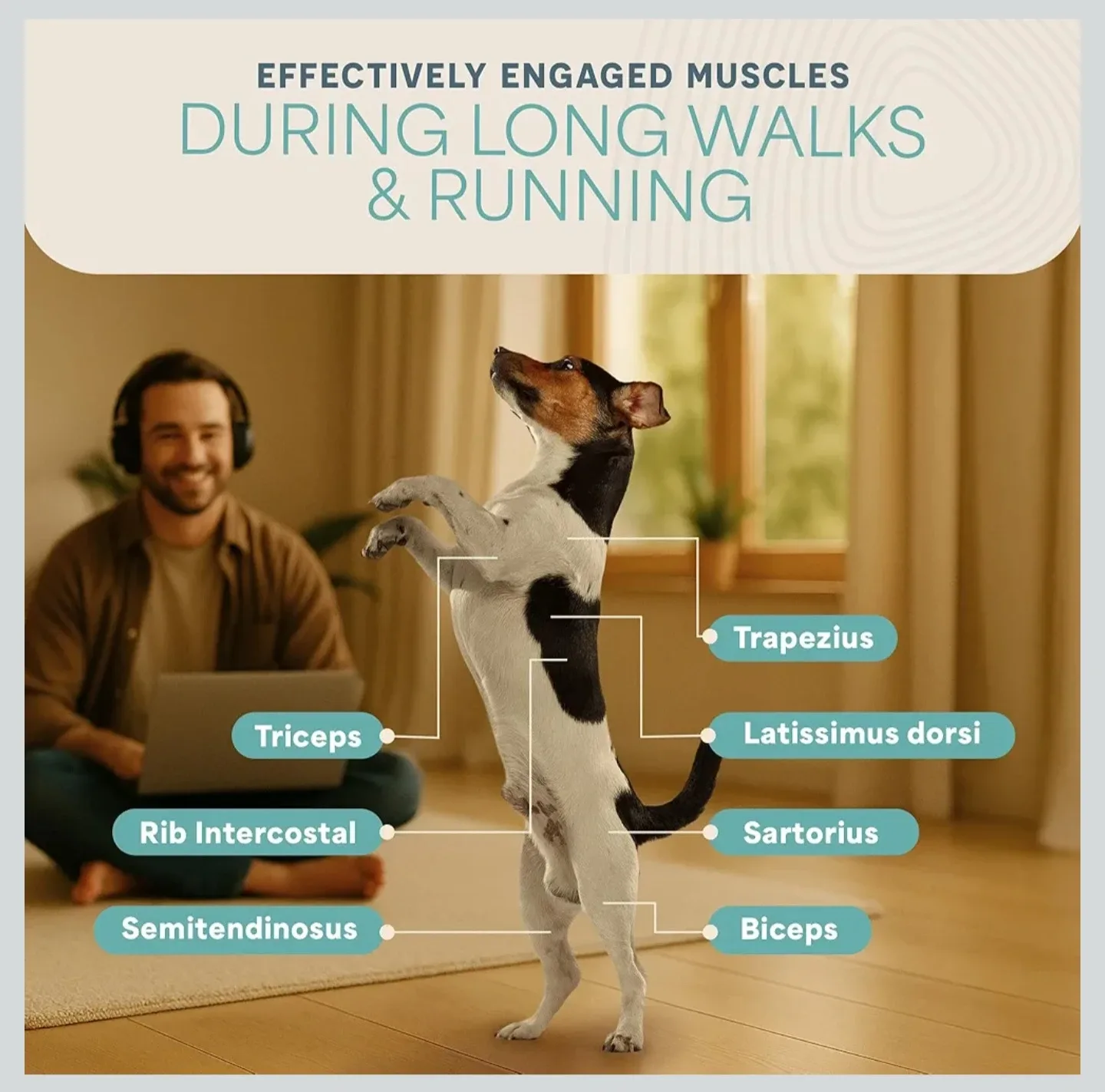 LifePro PawRunner Dog Treadmill image indicator(9)