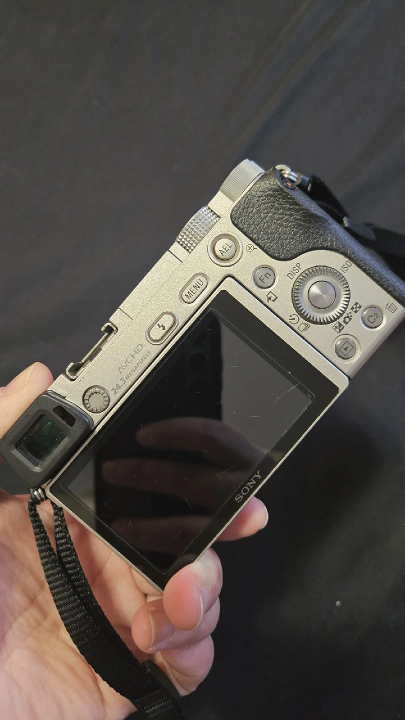 Sony Alpha a6000 Mirrorless Camera - photo 3