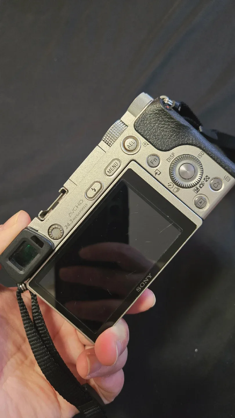 Sony Alpha a6000 Mirrorless Camera image indicator(3)