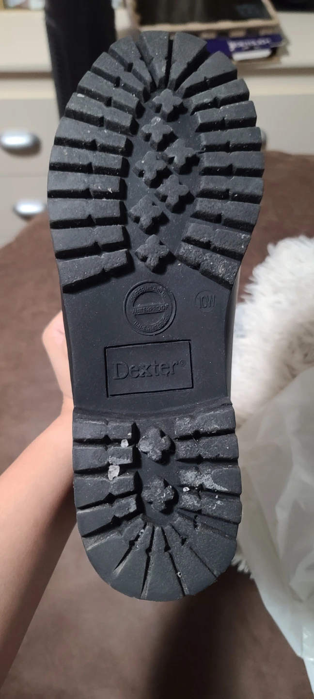 Dexter Men's Black Winter | Snow Boots - photo 3