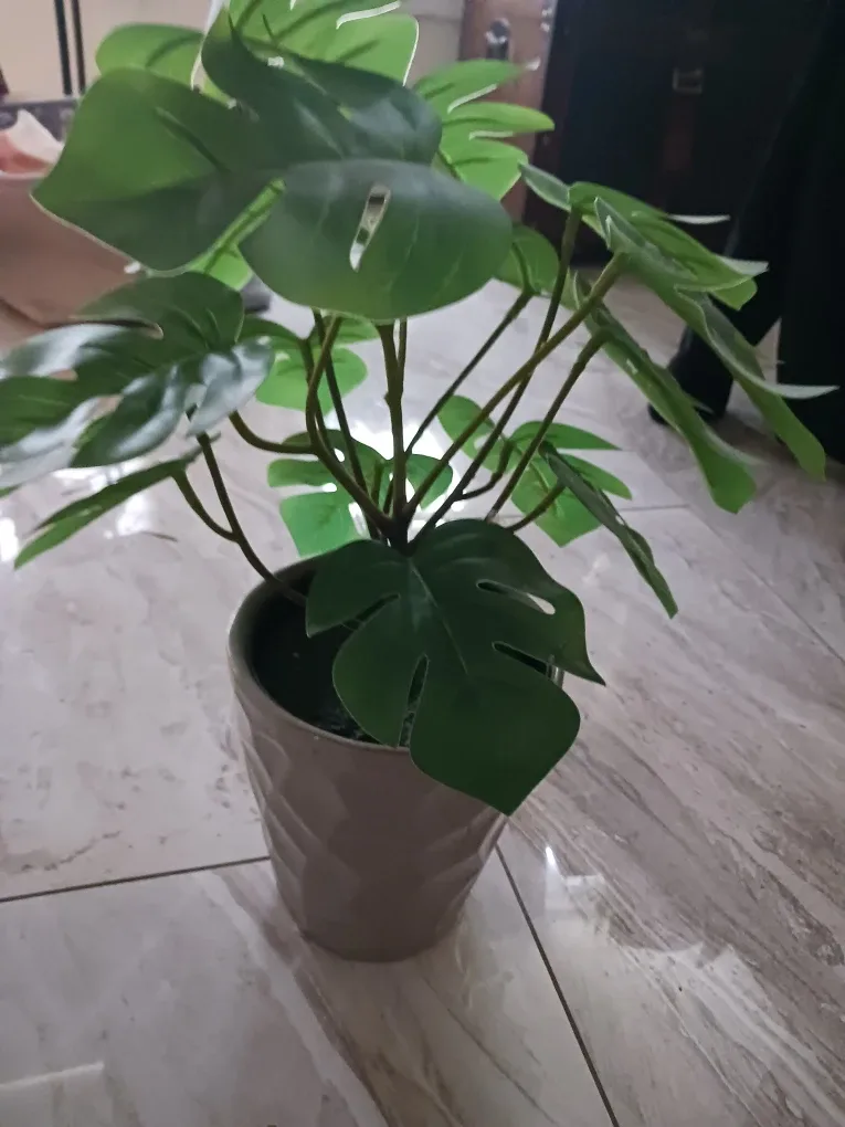 Plastic Monstera Plant in Pot