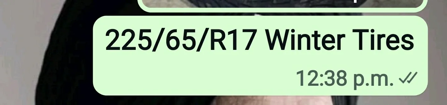 225/65/R17 Winter Tires 5 volt image indicator(2)