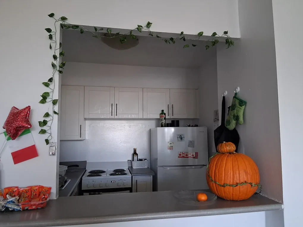 Apartment for rent - short term 1B/1B image indicator(3)