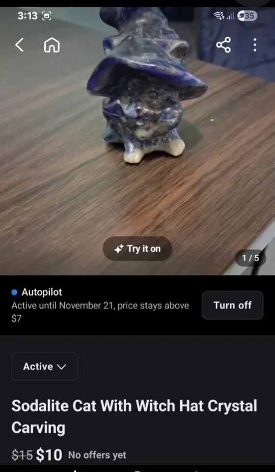 Sodalite Cat & Calcite or Aventurine Pumpkin Witch image indicator(3)