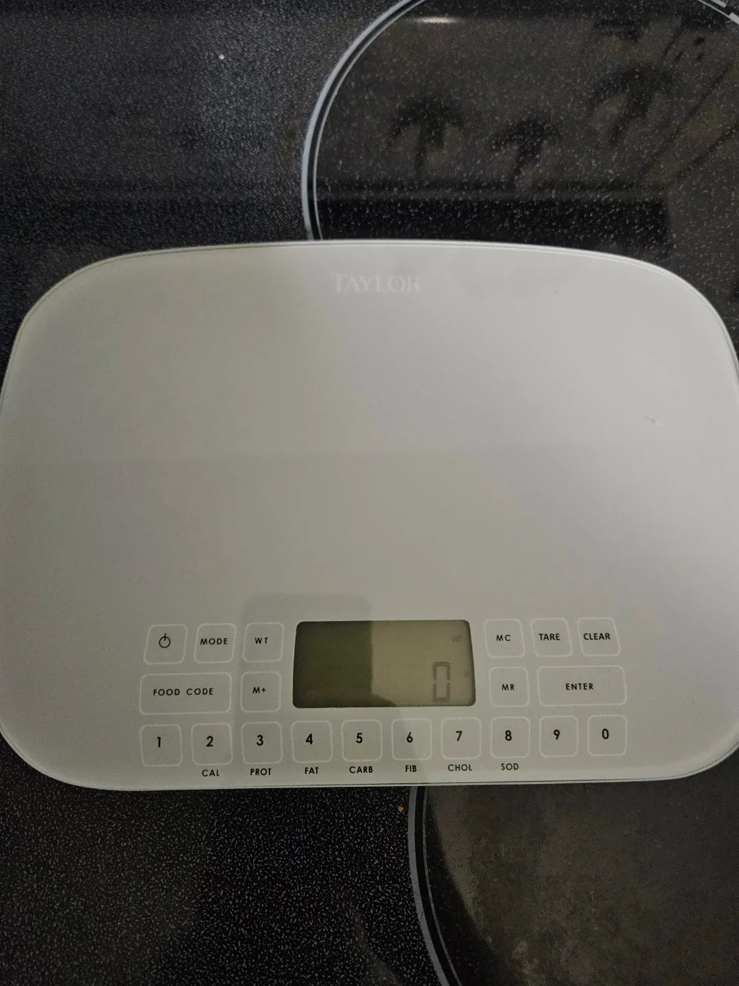 Taylor Kitchen Scale