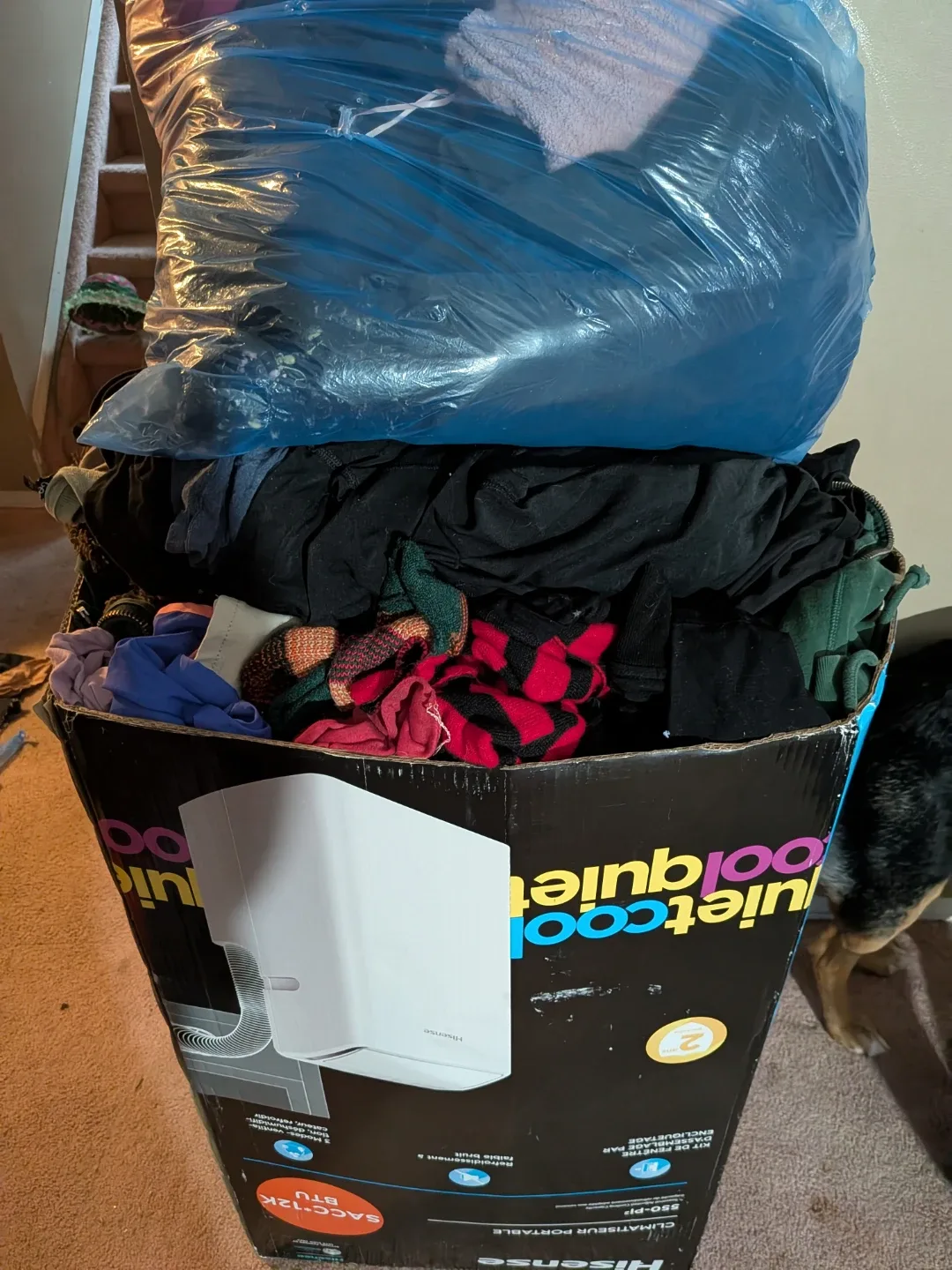 Women's small clothing