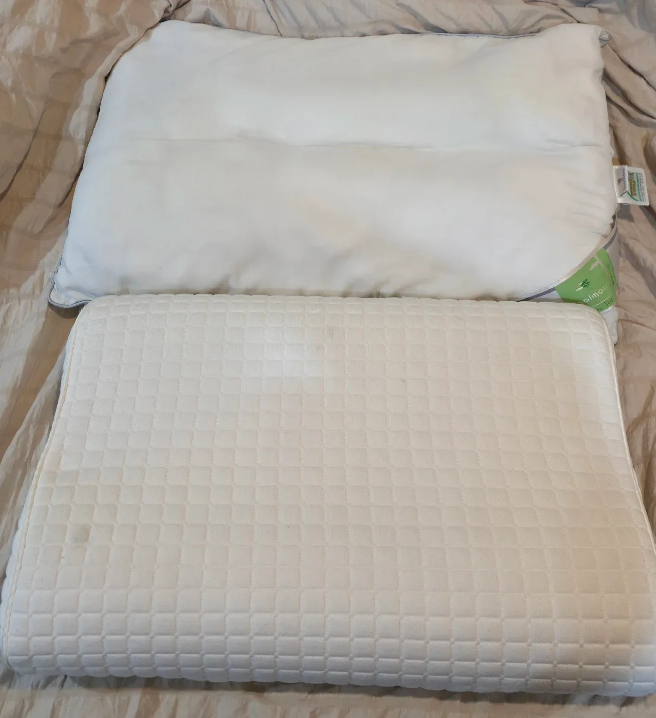 Pillow 2 for $5 Includes cover