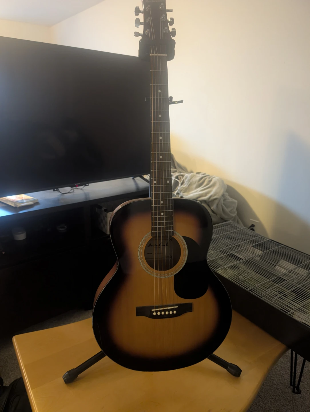 Beaver Creek BCTF101SB Guitar with Levy's Gig Bag