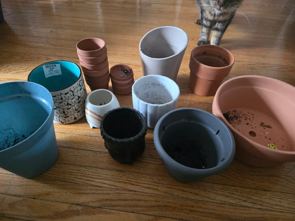 Plant pots