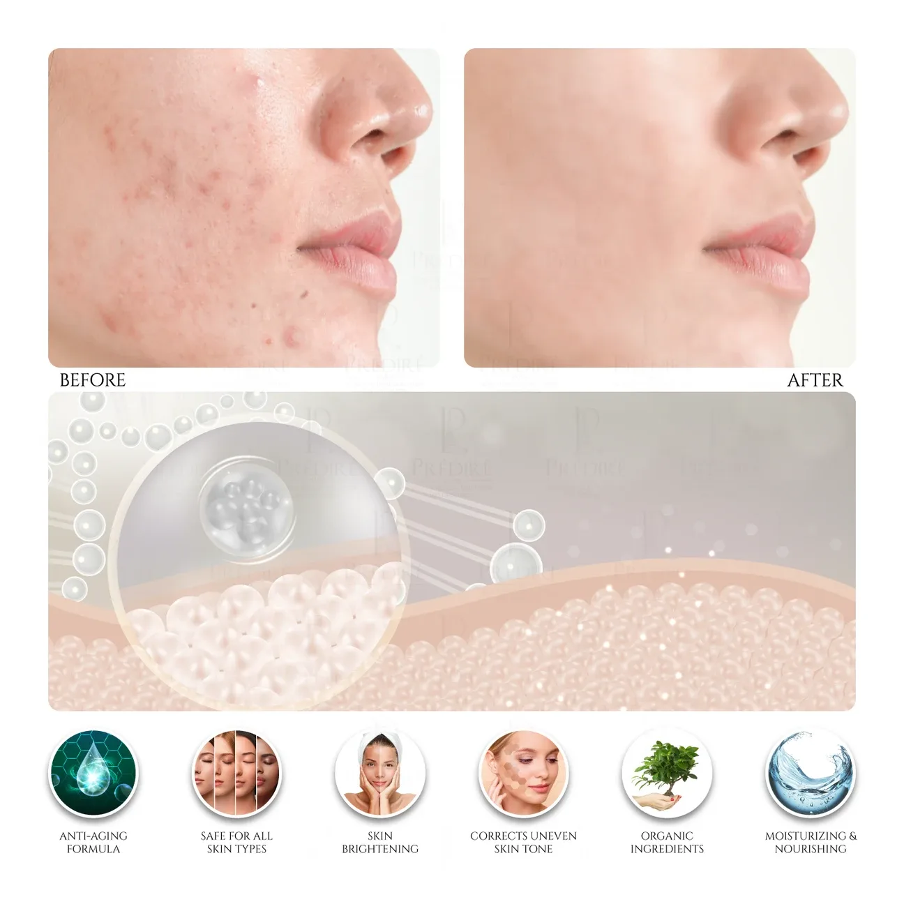 PREDIRE Snail Age Defying Collection image indicator(2)