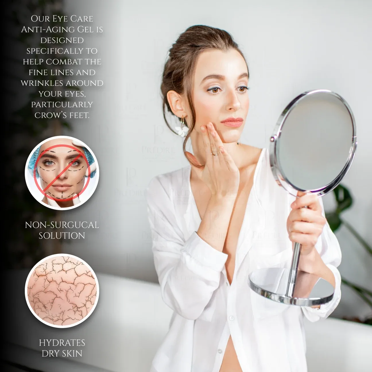 PREDIRE Snail Age Defying Collection image indicator(9)