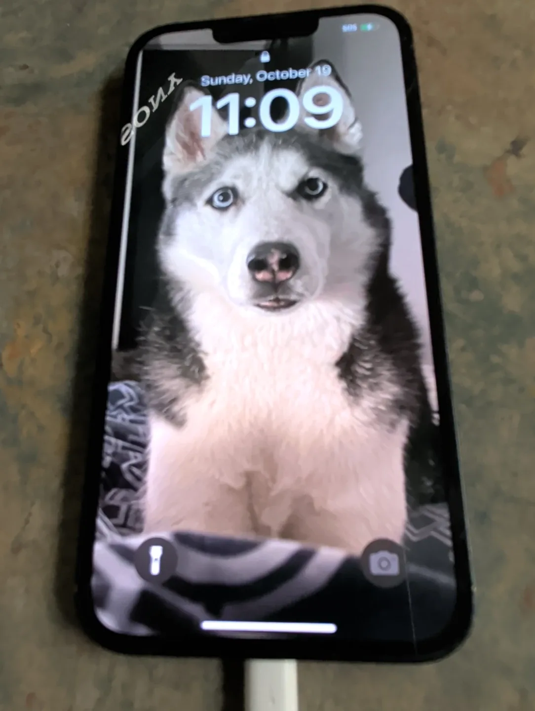 Apple iPhone 13 - Midnight image indicator(2)