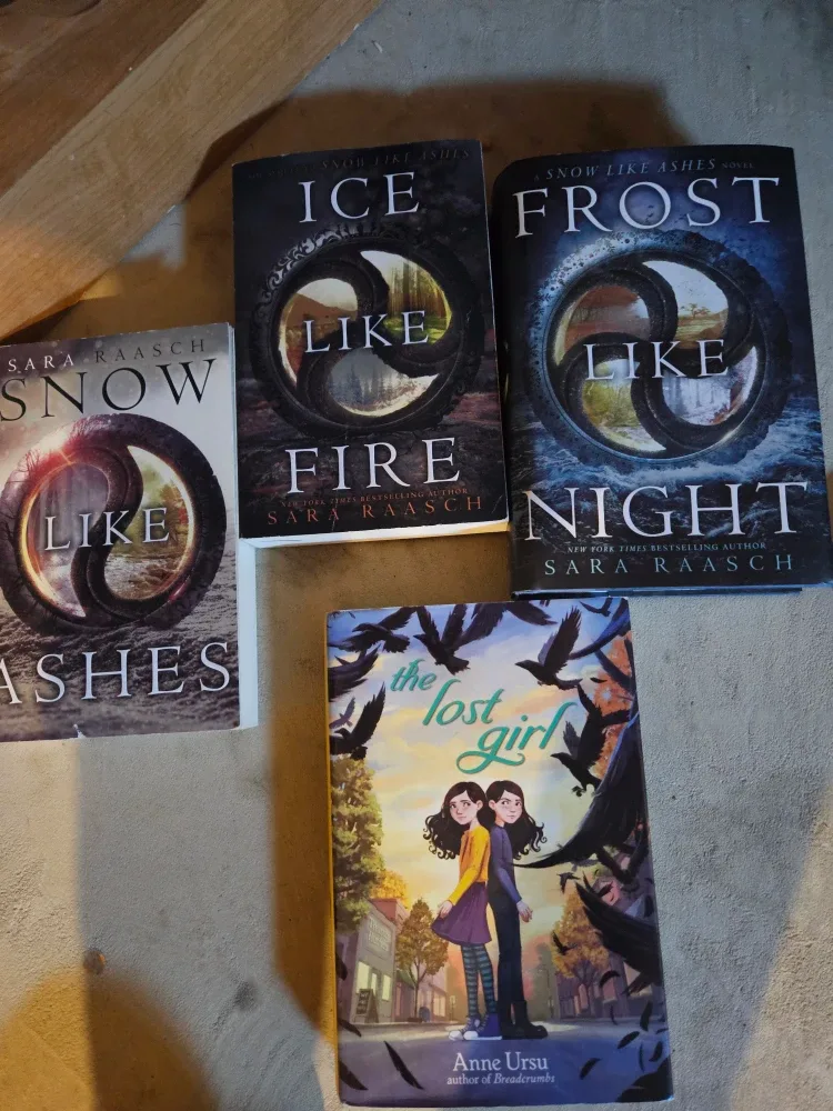 Snow Like Ashes Series & More Young Adult Books