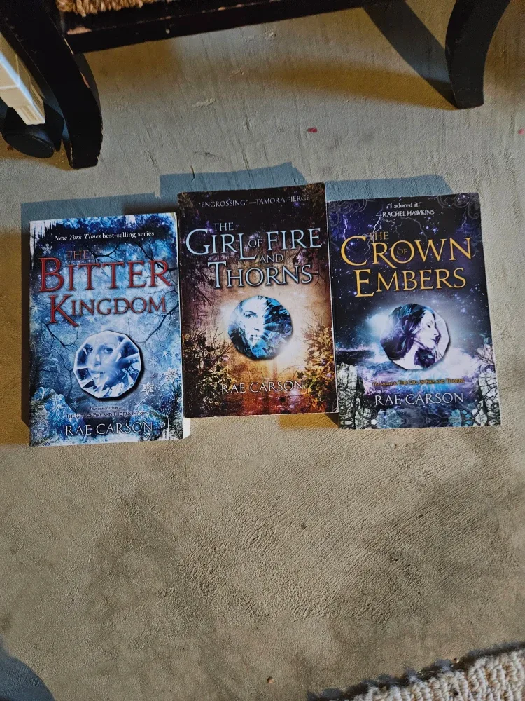 Snow Like Ashes Series & More Young Adult Books image indicator(2)