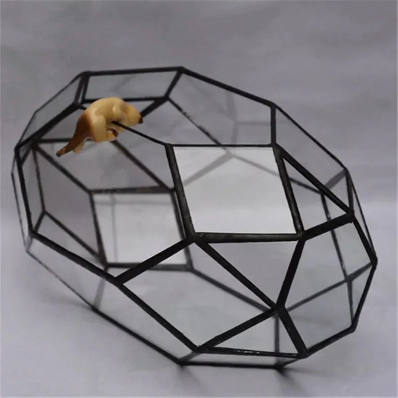 Geometric Glass Terrarium