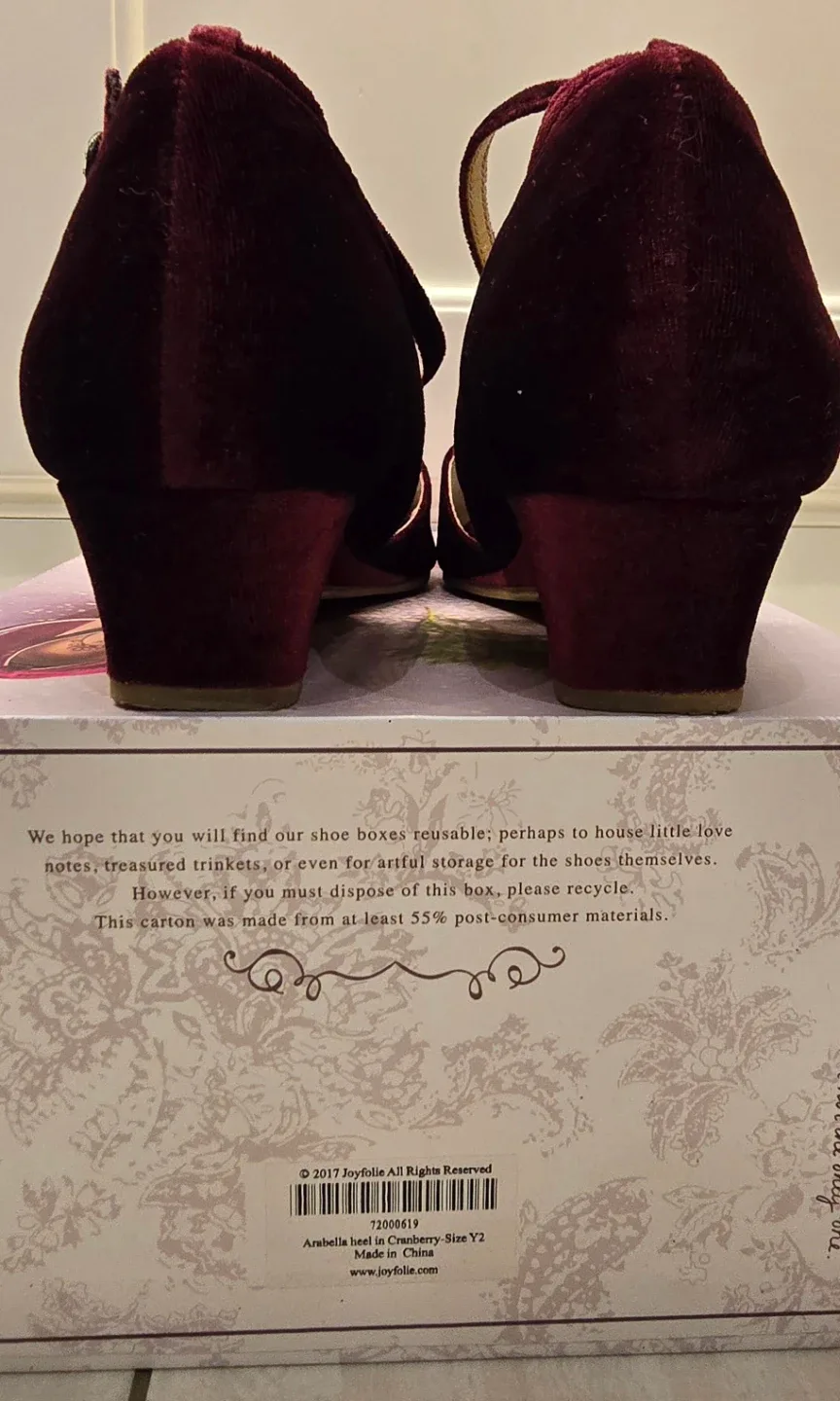 Girl's Burgandy Velvet Shoes with Rose Detail! Size 2 - Youth image indicator(6)