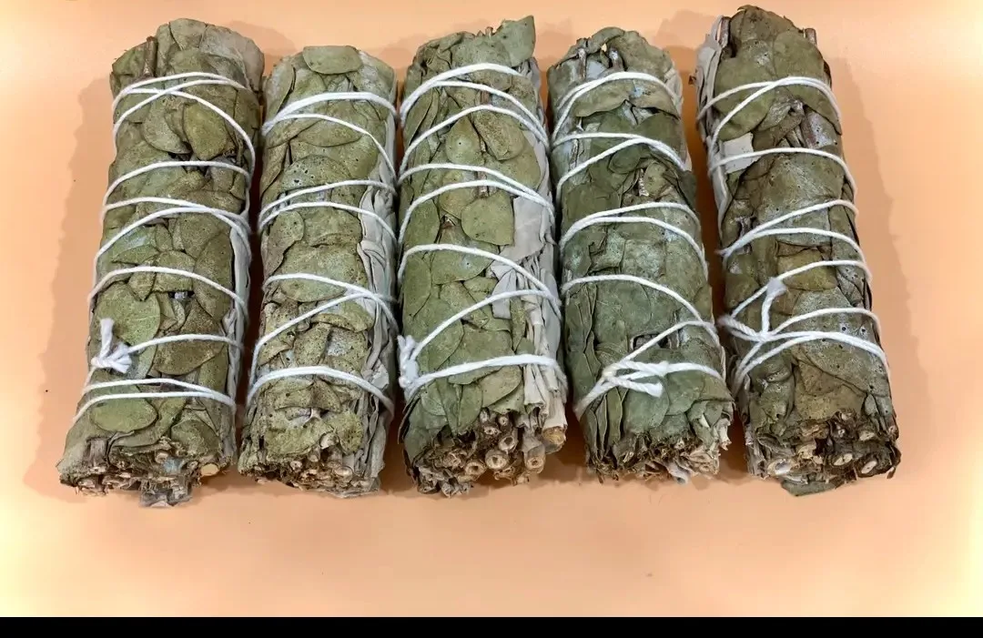 ✨ Eucalyptus & Sage ✨Ultimate Reset for Mind, Space & Spirit image indicator(3)