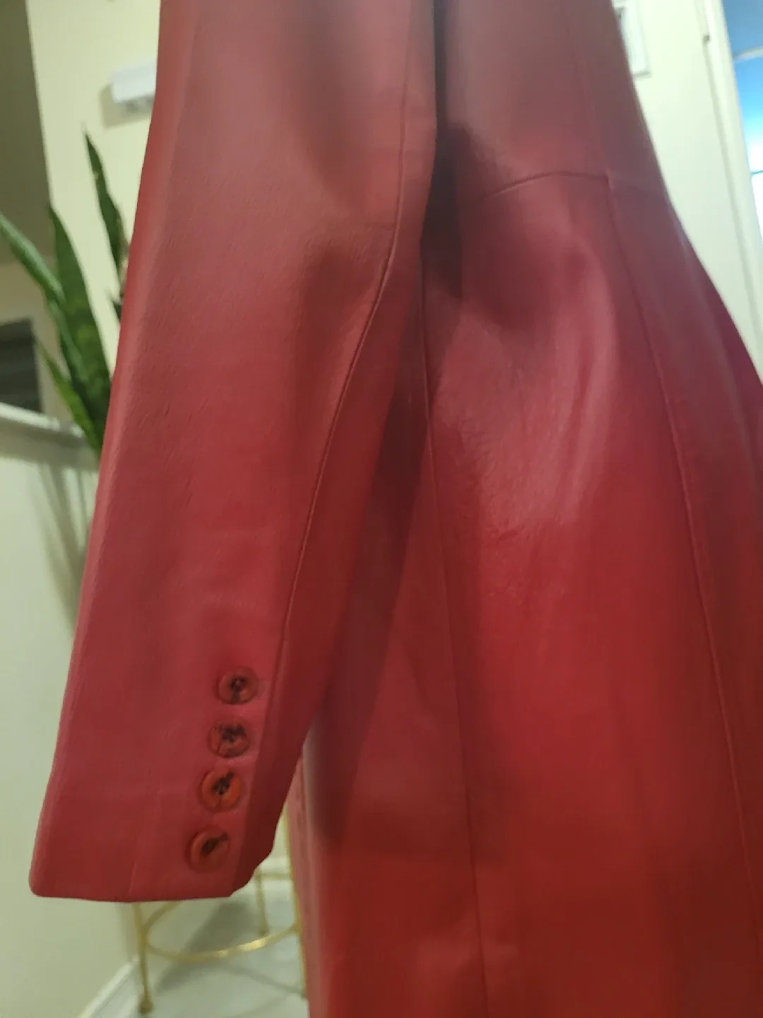 Metrostyle Red Leather Coat - Size M image indicator(3)