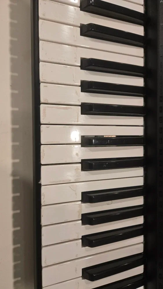 Yamaha PSR172 Portable Keyboard image indicator(5)