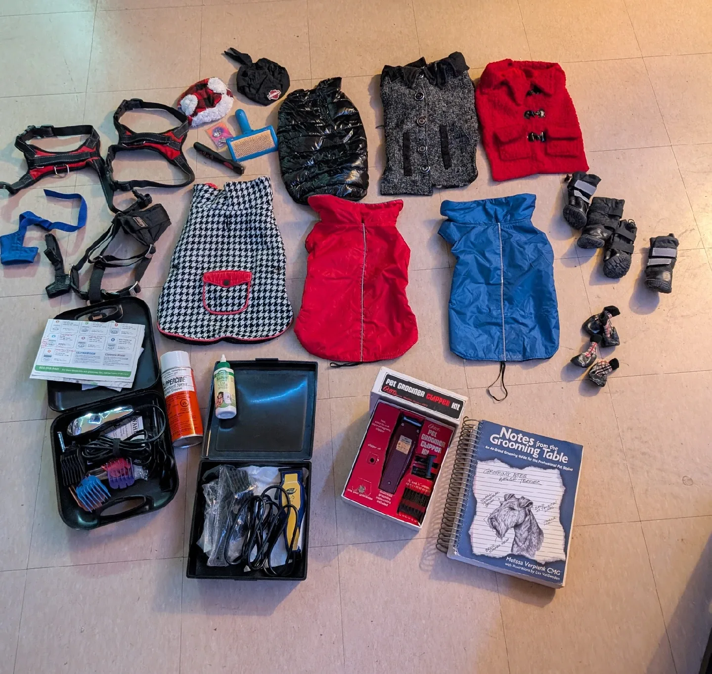 Dog supplies for a medium sized dog