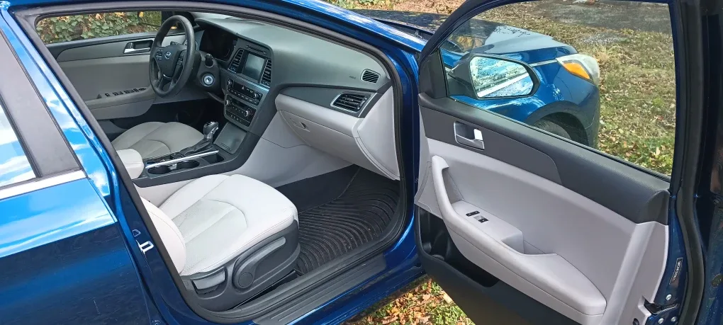 Hyundai Sonata - Blue Sedan image indicator(9)