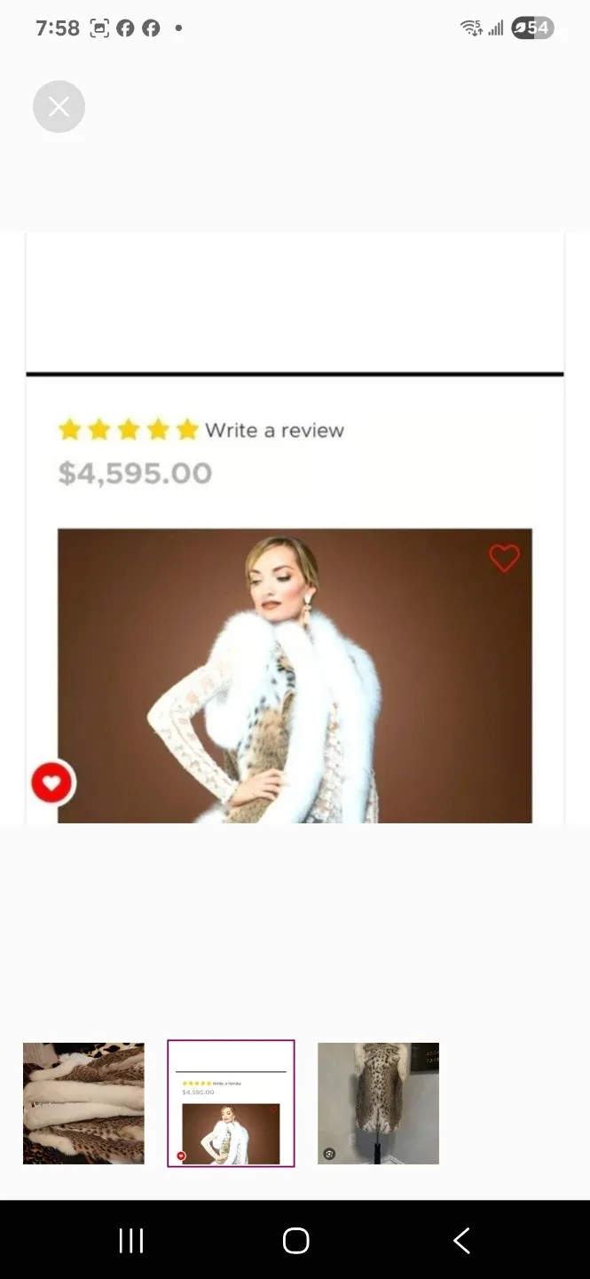 Elegant Fur Women's Coat - Size US 10 image indicator(6)