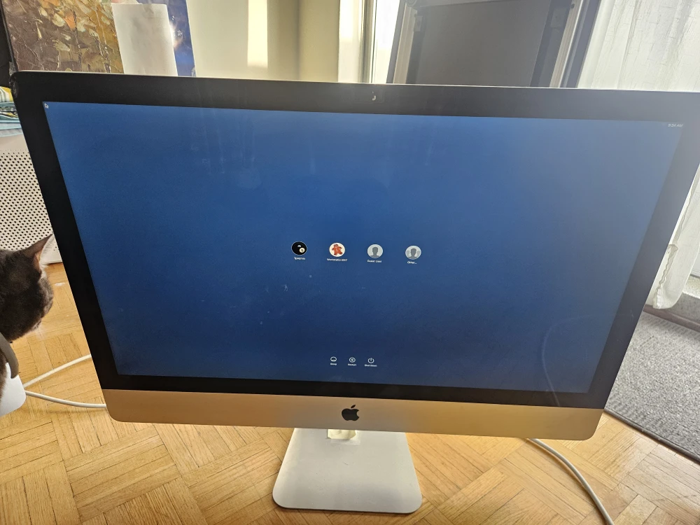 Two iMac screens for $150