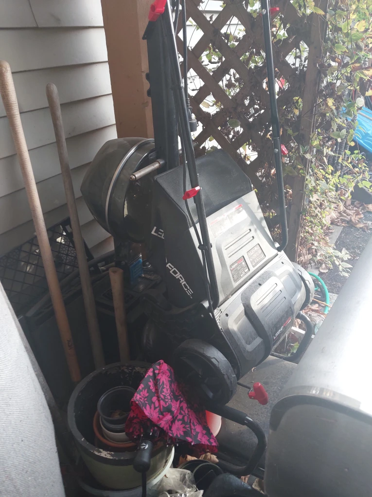 LawnMaster LE1801 Corded Electric Lawn Edger 🥕