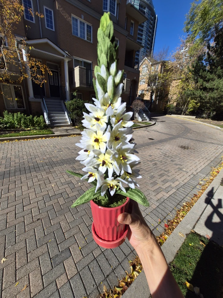 Felt Flower Arrangement