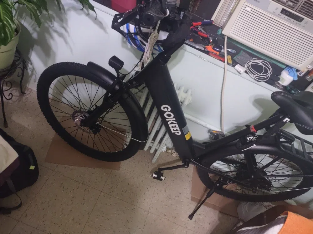 Gokeep Electric Bike