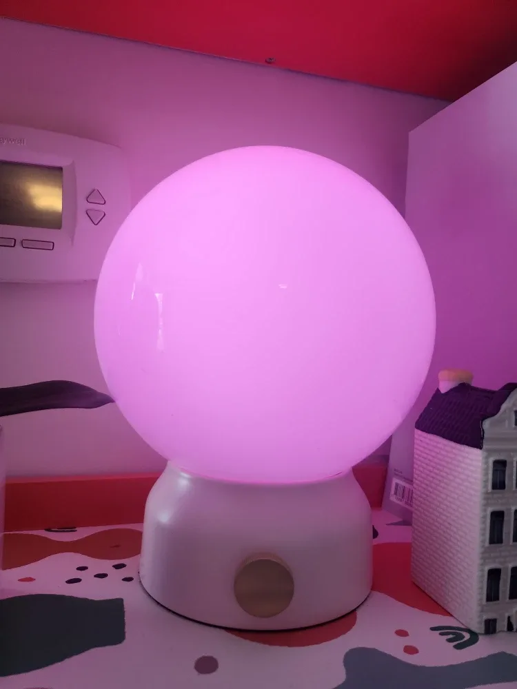 Globe Table Lamp - Pink Base