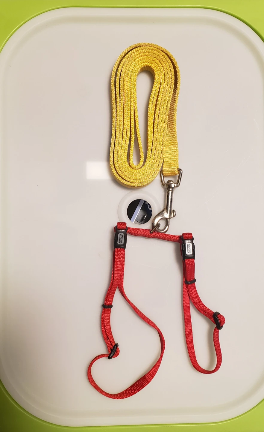 Small dogs Harness and Leash