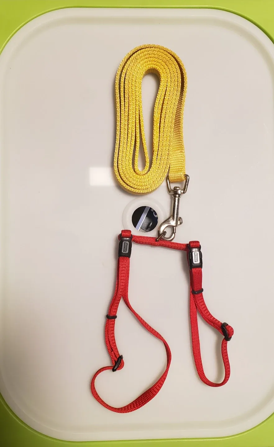 Small dogs Harness and Leash thumbnail