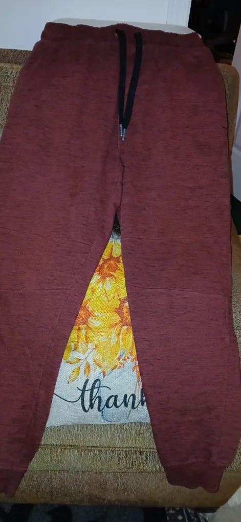 CSG Burgundy Jogger Pants image indicator(2)