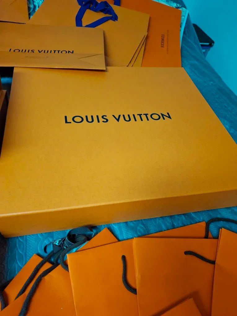 Luxury Brand Shopping Bags: LV, Hermes, Louboutin image indicator(6)