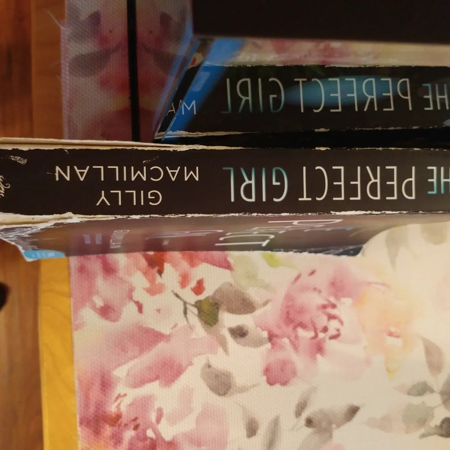 The Perfect Girl by Gilly Macmillan image indicator(3)