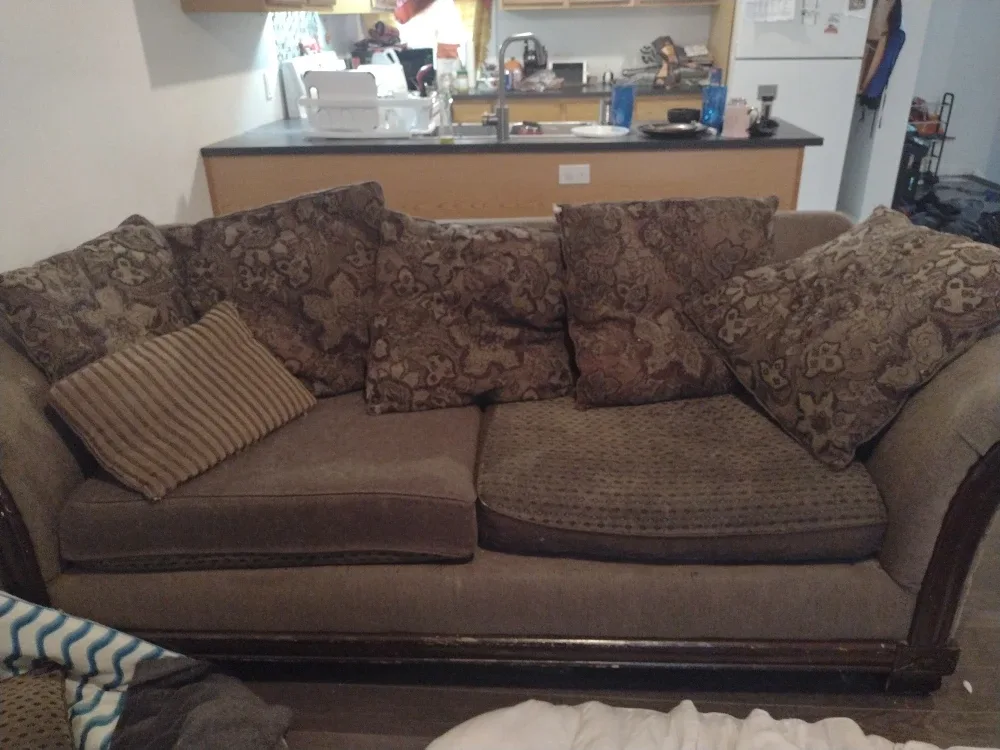 Brown Patterned Sofa with Pillows