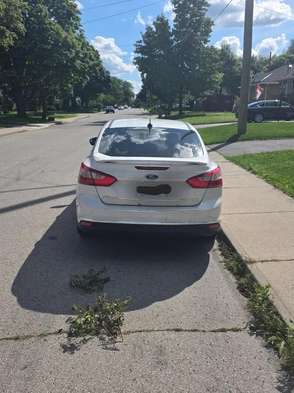 Ford Focus - White Sedan image indicator(3)