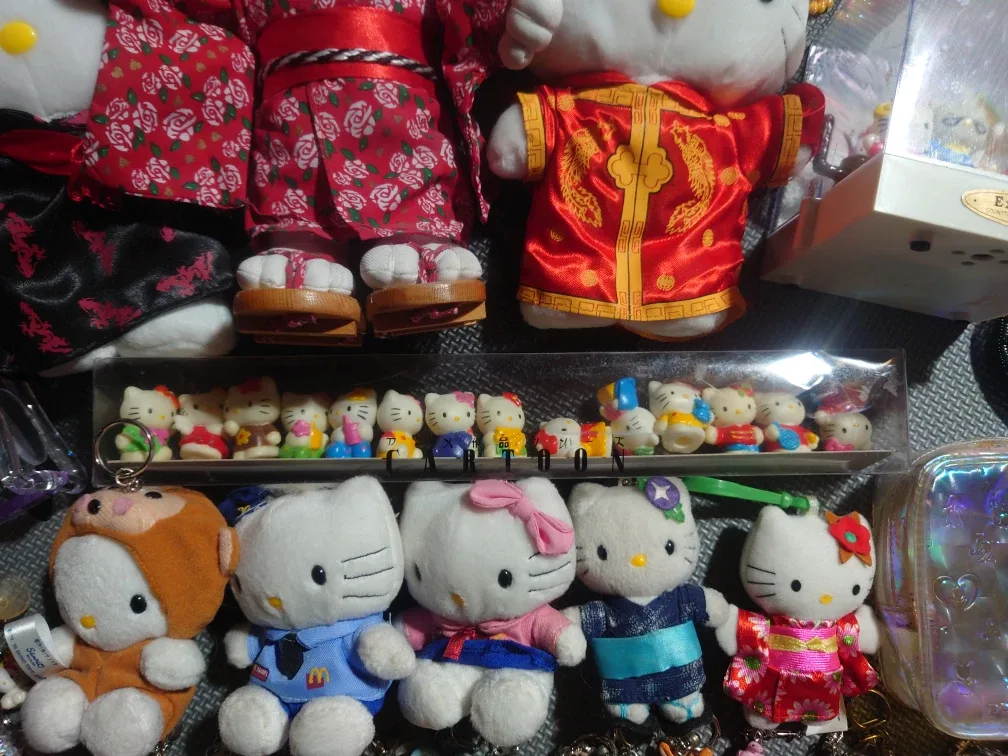 Hello Kitty Collection image indicator(6)