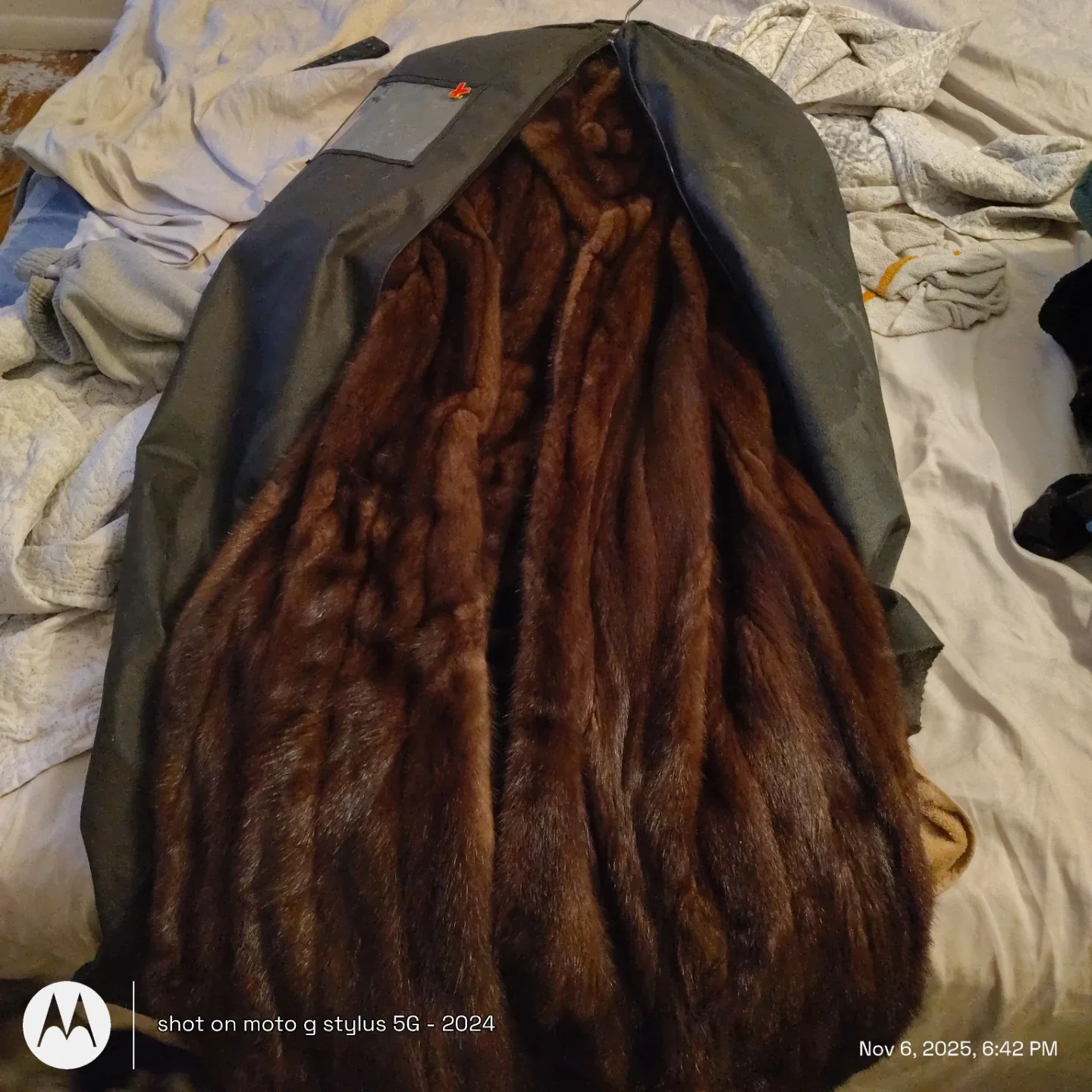 Fur Coat - Brown image indicator(2)