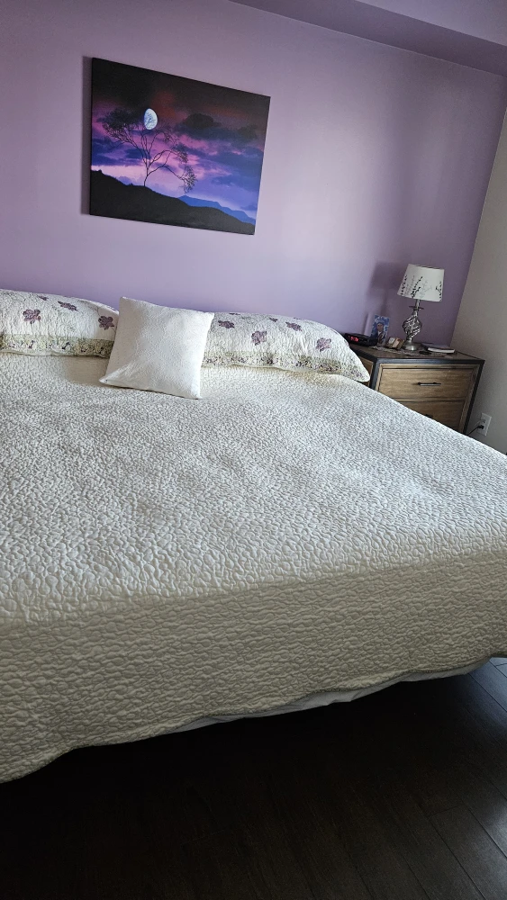 King quilted Bedspread, metal frame and matress