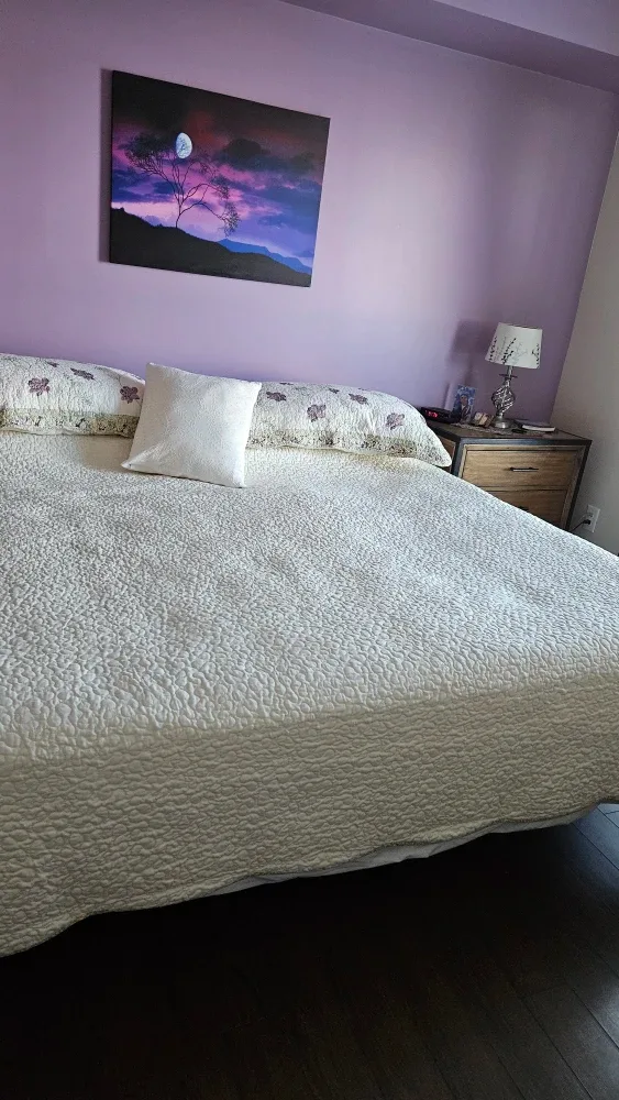 King quilted Bedspread, metal frame and matress