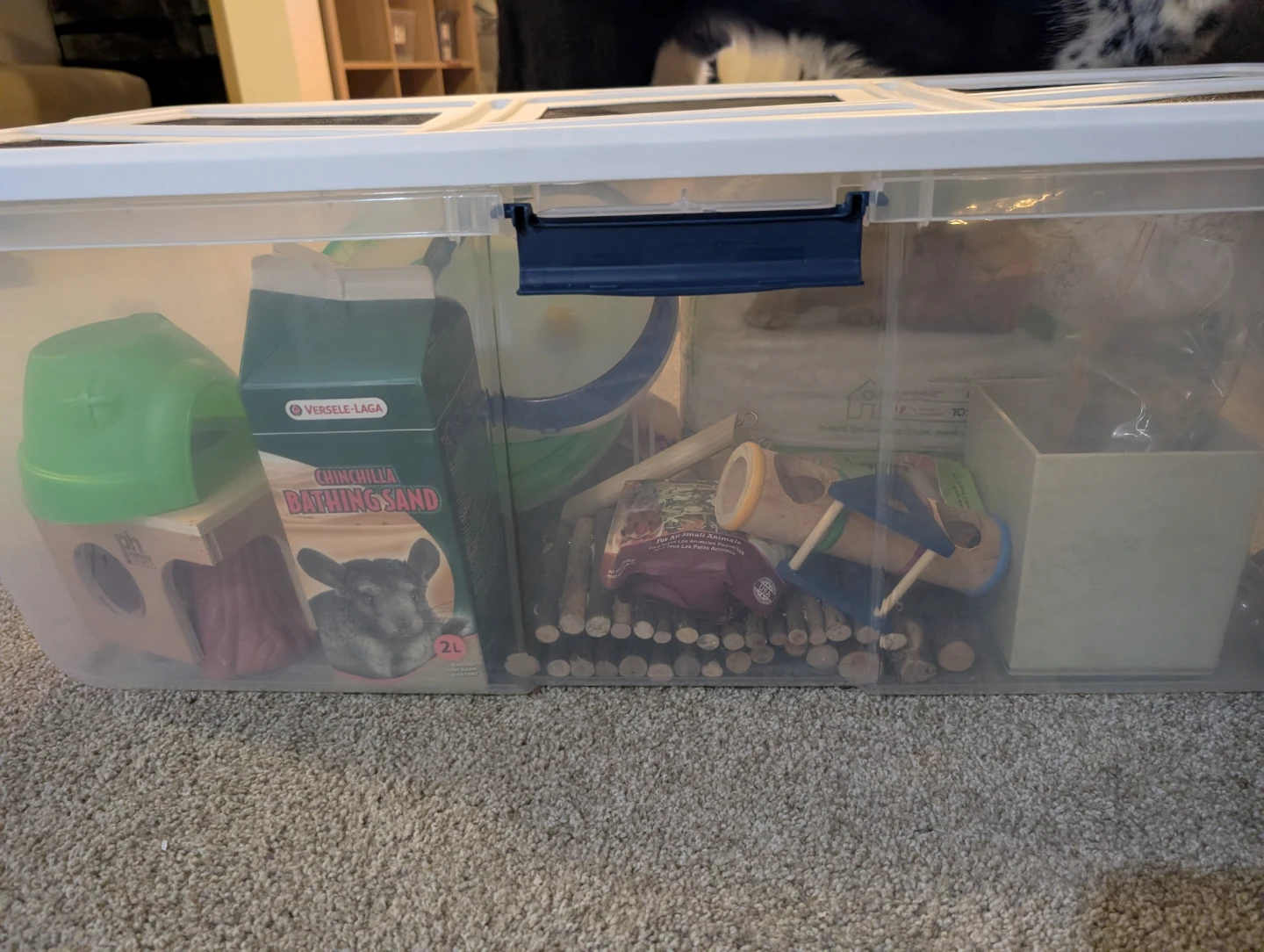 Chinchilla/Small Pet Supplies and custom bin cage